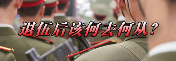 退伍军人退伍后干什么